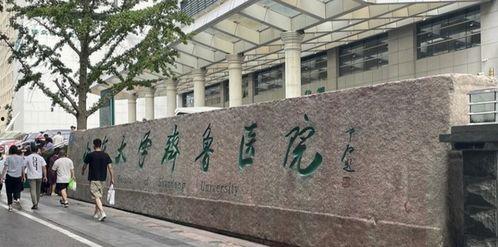 齐鲁医学院爆料事件最新,真相与争议交织的教育丑闻揭露  第1张